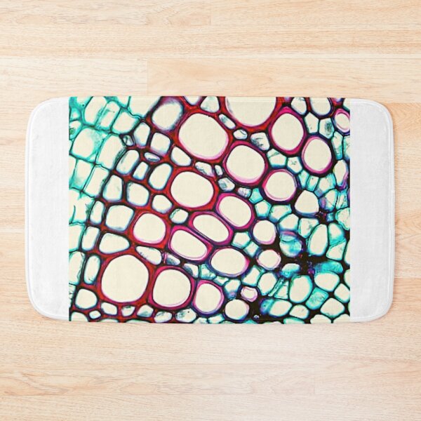 Item preview, Dicot stem vascular designed and sold by Delicarte.