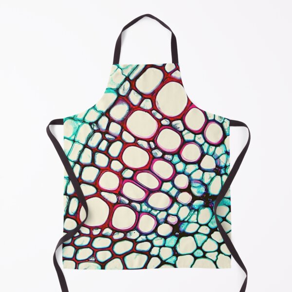 Item preview, Dicot stem vascular designed and sold by Delicarte.