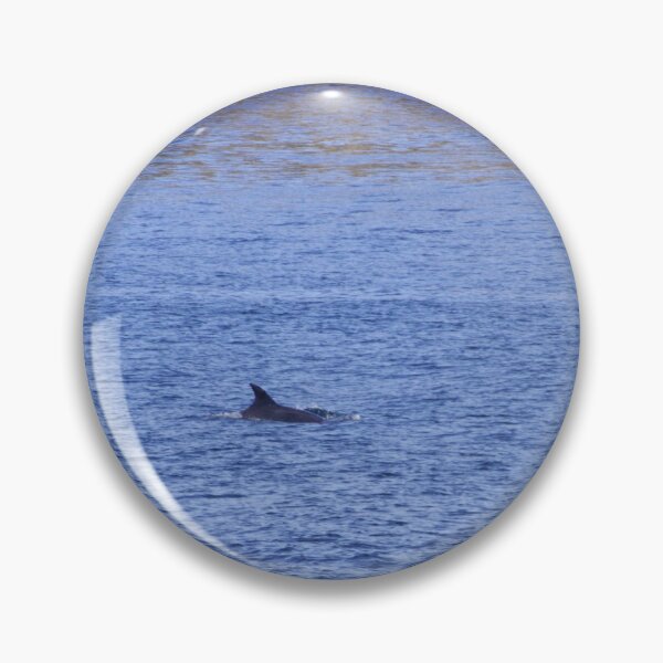 Item preview, Dorsal fin of a bottlenose dolphin, Tursiops truncates, in the Atlantic ocean on the breton coast designed and sold by Zosimus.