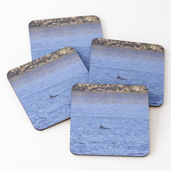Item preview, Dorsal fin of a bottlenose dolphin, Tursiops truncates, in the Atlantic ocean on the breton coast designed and sold by Zosimus.