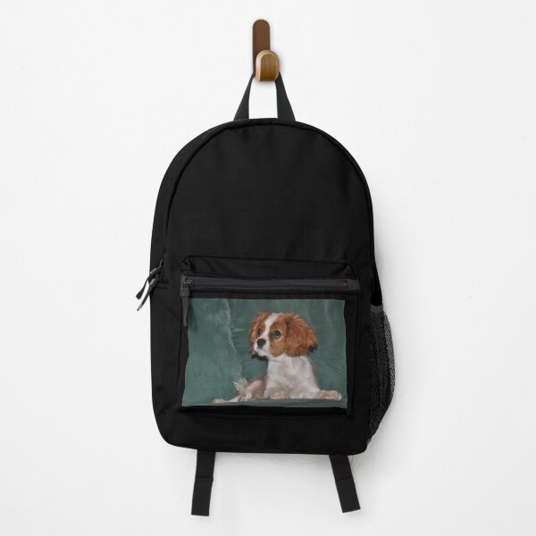 Item preview, Beautifull Cavalier King Charles Spaniel puppy designed and sold by Colourful-Dinos.
