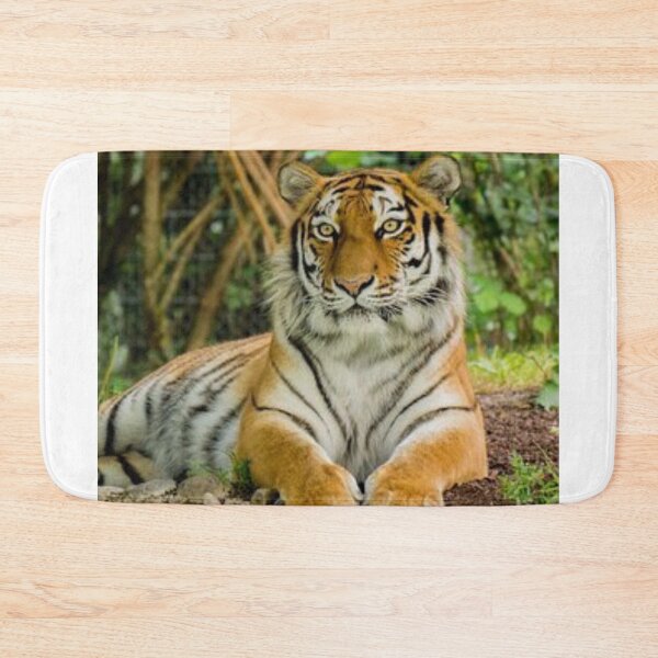 Item preview, Chilled Out Tiger designed and sold by leea1l.