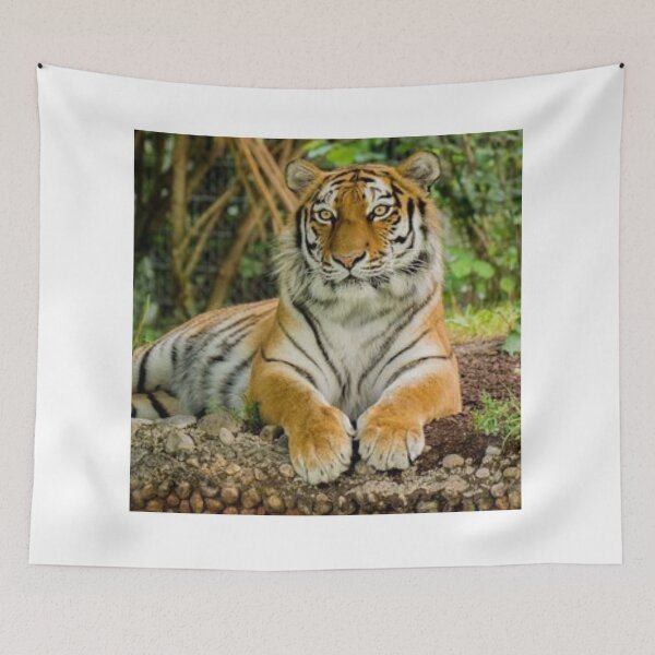 Item preview, Chilled Out Tiger designed and sold by leea1l.