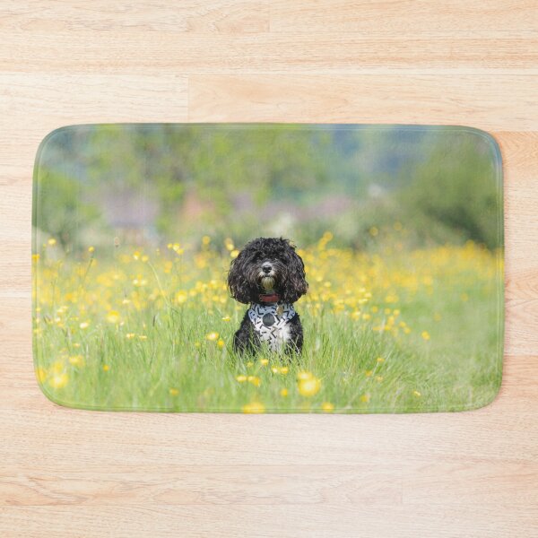 Item preview, Cavapoo in a Meadow designed and sold by Jane Stanley Photography.