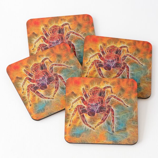 Item preview, jumping spider – pseudeophrys lanigera – ハ エ ト リ グ モ ¦ designed and sold by nature. electrified..