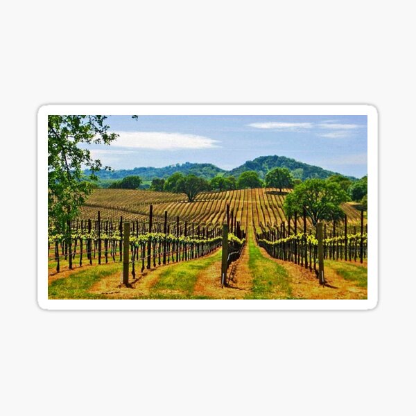 Napa Valley Wine Country Sticker