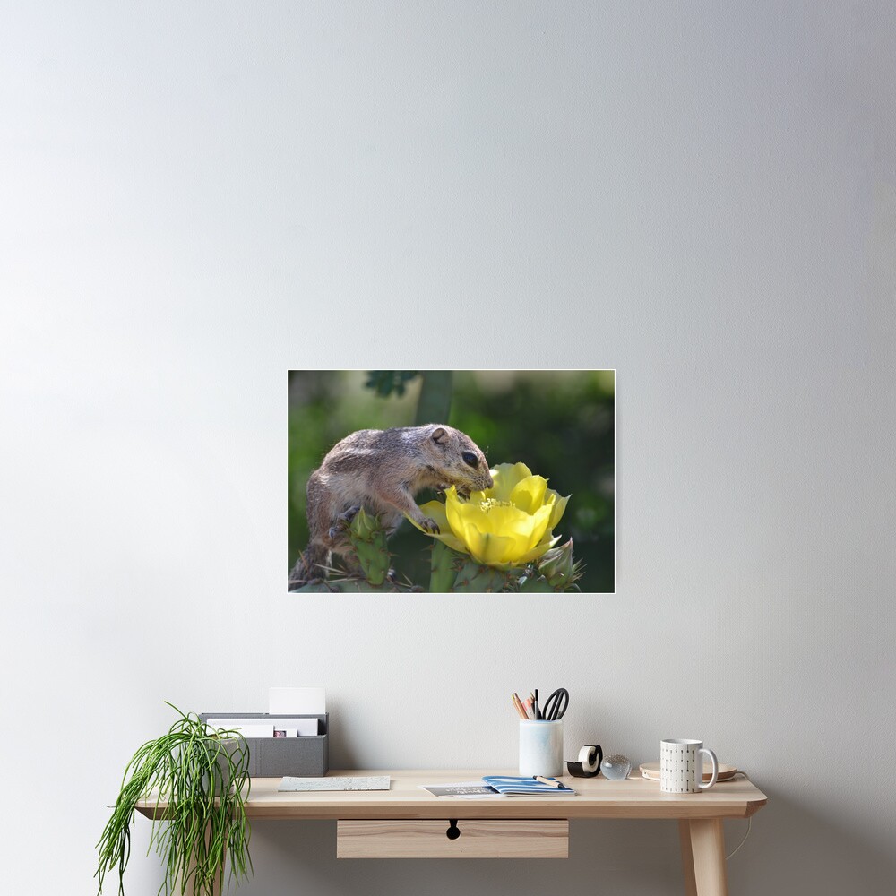 Item preview, Poster designed and sold by Kathleen Brant.