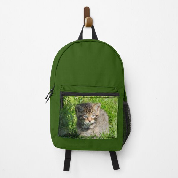 Item preview, An Adorable Scottish Wildcat Kitten designed and sold by Karen Thomson.