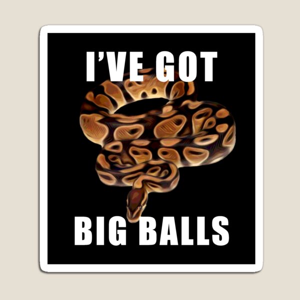 Item preview, Ball Python Snake Ive Got Big Balls Snake Lover Graphic designed and sold by wdyoungblood.