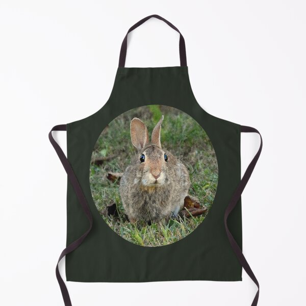 Item preview, Cottontail designed and sold by PatSeg Photos.