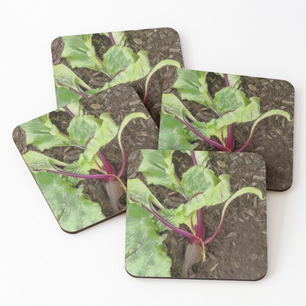 Item preview, Radish Roots designed and sold by Madelyn Paige.