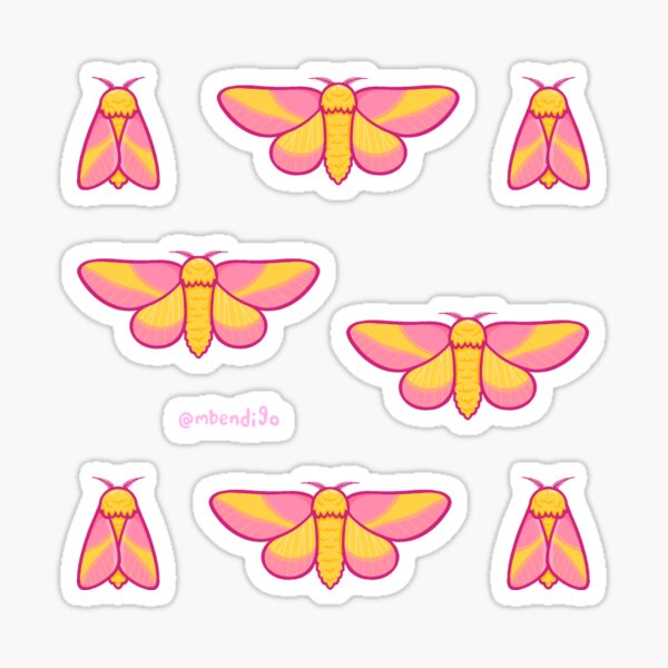 Fluffy Poodle Moth and Pink Lemonade Moth Sticker Set of 2 / Rosy Maple Moth  Sticker / Fluffy Moth Sticker / Laptop Sticker / Vinyl Stickers 