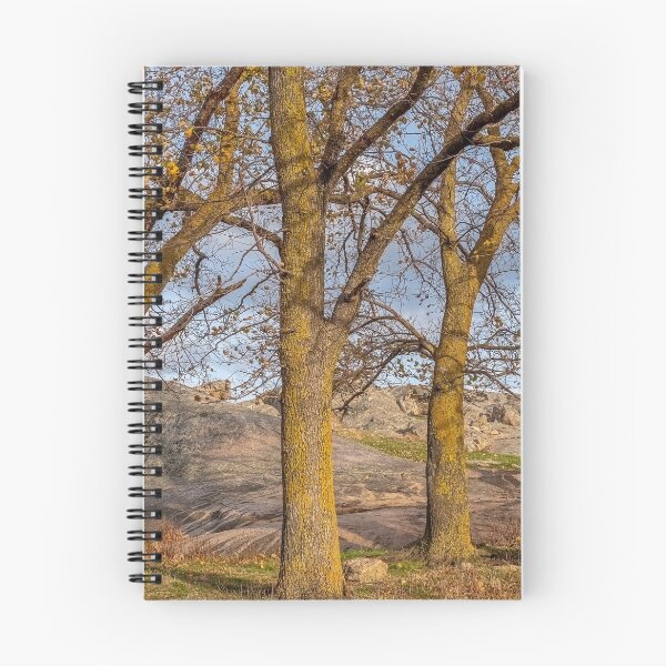 Item preview, Golden light on tree trunks designed and sold by iansmissenphoto.
