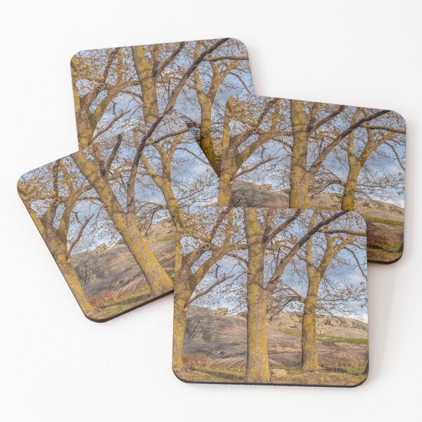 Item preview, Golden light on tree trunks designed and sold by iansmissenphoto.