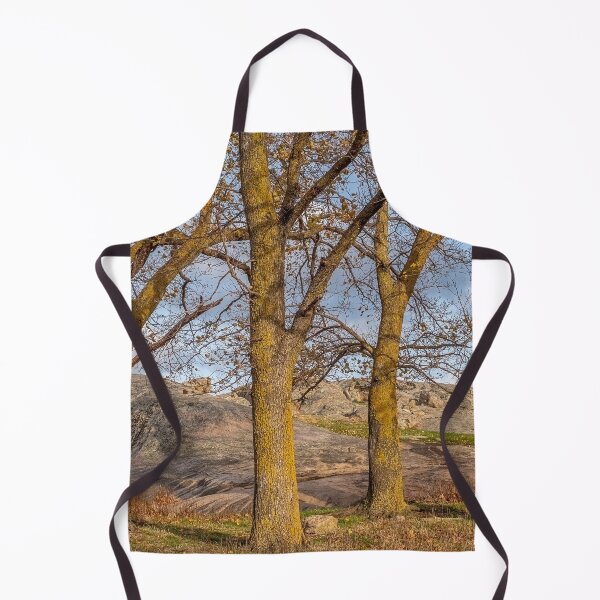 Item preview, Golden light on tree trunks designed and sold by iansmissenphoto.