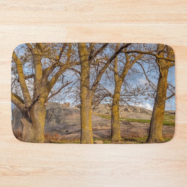Item preview, Golden light on tree trunks designed and sold by iansmissenphoto.