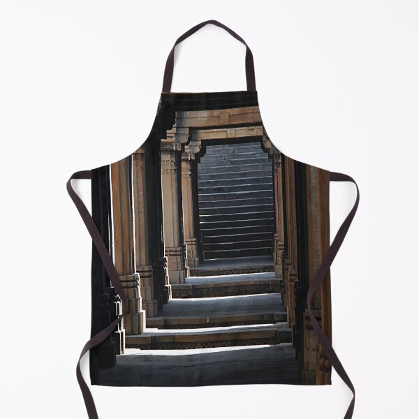 Item preview, Dada Hari Vav Stepwell Detail, Gujarat, India designed and sold by worldways.