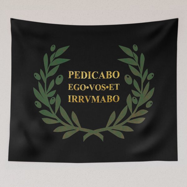 Item preview, Catullus (Carmen 16) quote (8) designed and sold by DotorEaon.
