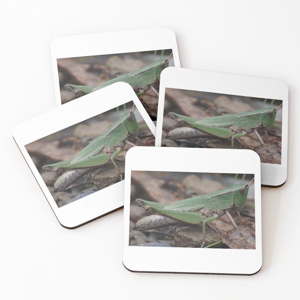 Item preview, Coasters (Set of 4) designed and sold by TC-Has-Riddles.