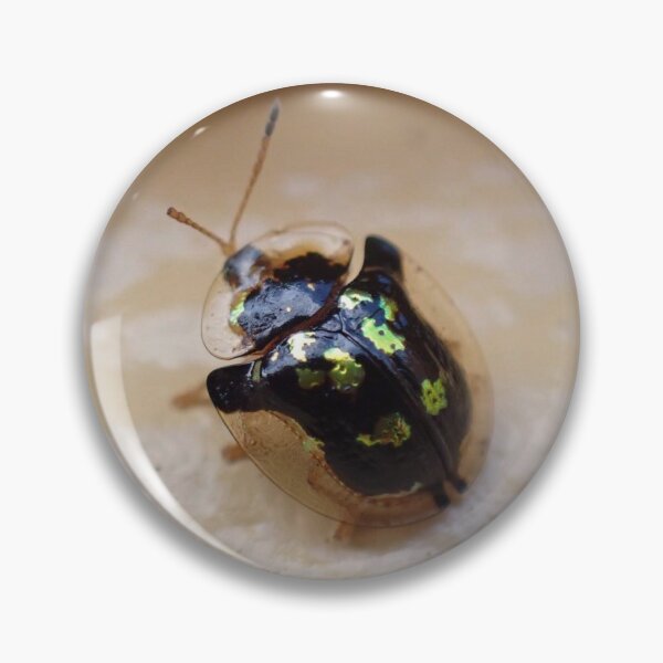 Item preview, Mottled Tortoise Beetle  designed and sold by TC-Has-Riddles.