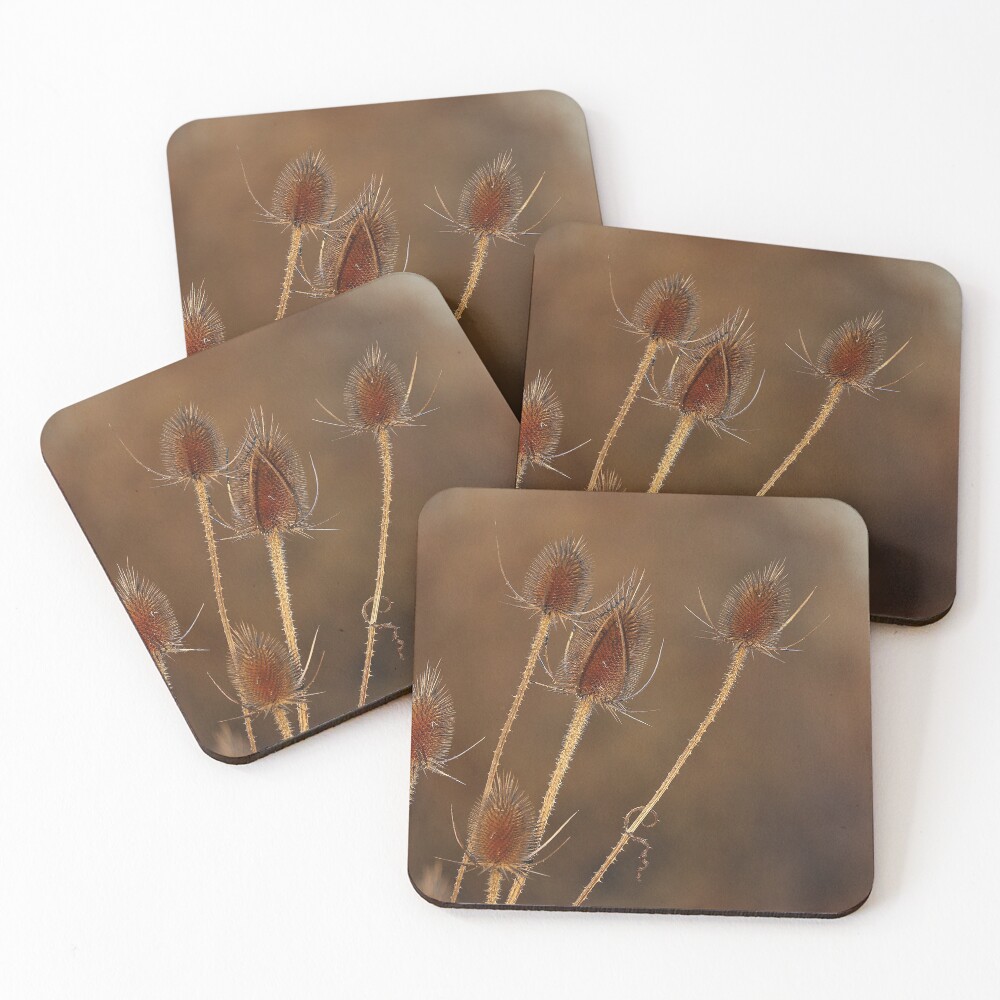 Item preview, Coasters (Set of 4) designed and sold by jmaciel.