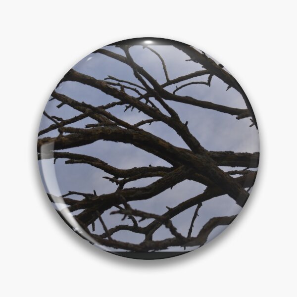 Item preview, Bare Dead Branches in a Hedge Tree designed and sold by SEEphotos7171.