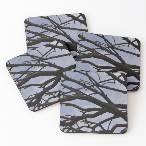 Item preview, Bare Dead Branches in a Hedge Tree designed and sold by SEEphotos7171.