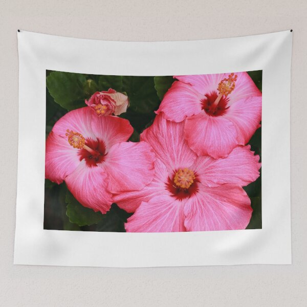 Item preview, Hibiscuses designed and sold by zumi.