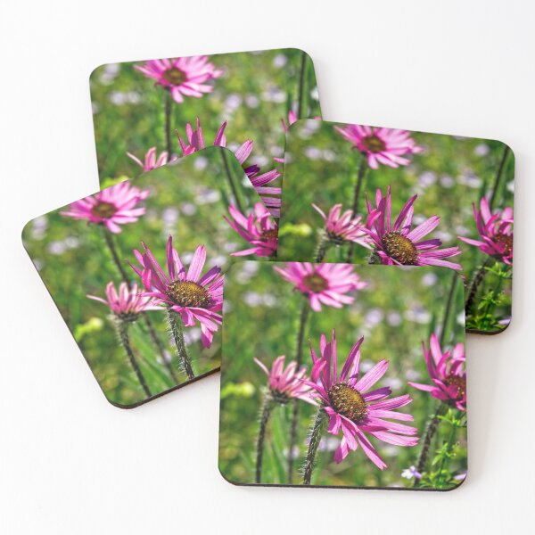 Item preview, Sun-Drenched Tennessee Coneflowers designed and sold by Thymely.