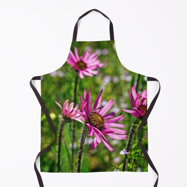 Item preview, Sun-Drenched Tennessee Coneflowers designed and sold by Thymely.