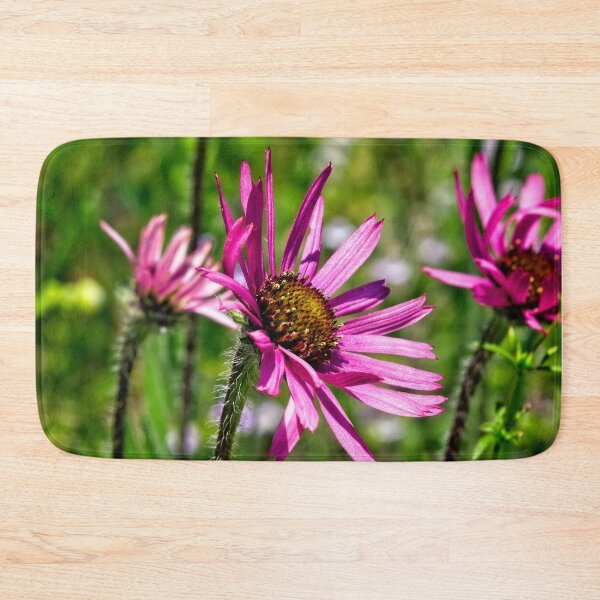 Item preview, Sun-Drenched Tennessee Coneflowers designed and sold by Thymely.
