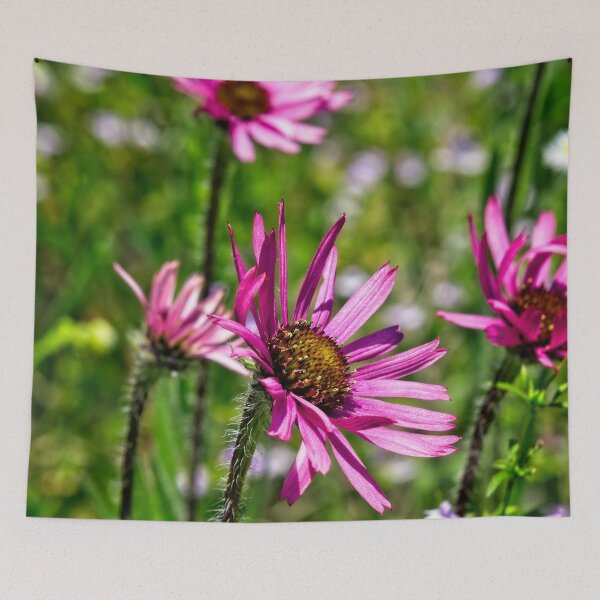 Item preview, Sun-Drenched Tennessee Coneflowers designed and sold by Thymely.
