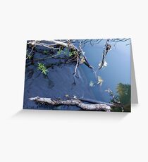 Water Greeting Card