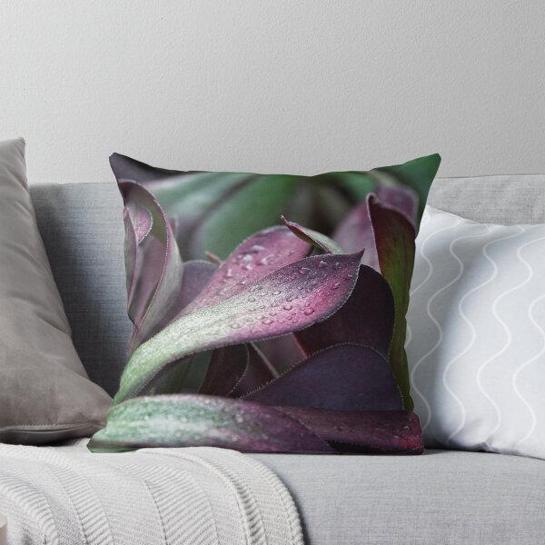 Item preview, A freezing morning in Canberra/ACT/Australia (1) designed and sold by Wolf Sverak Photography.