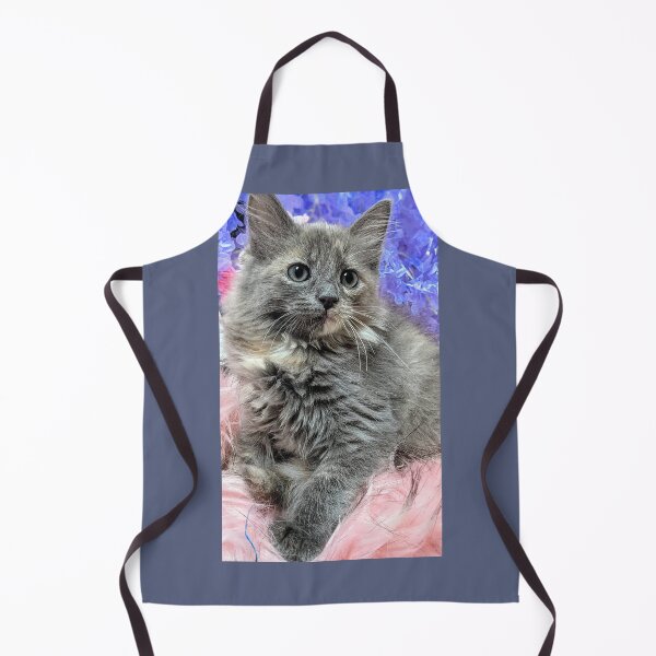 Item preview, Ragdoll Mainecoon kitten designed and sold by Fluffycat2020.