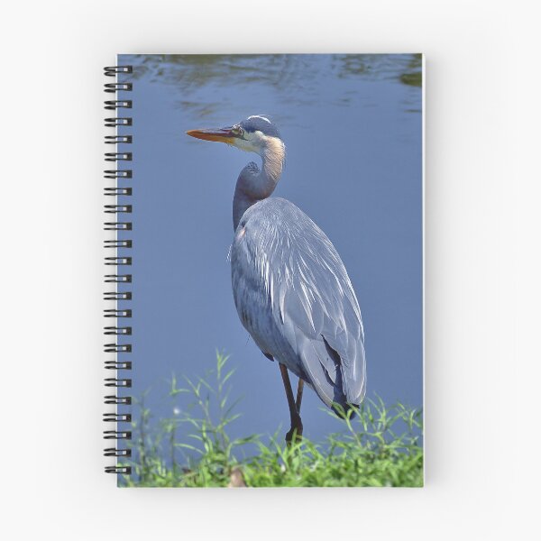 Item preview, The Great Blue Heron designed and sold by Lanis Rossi.