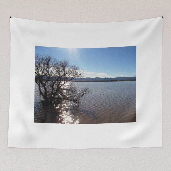 Item preview, White Water Draw, Arizona designed and sold by Diane Owens.