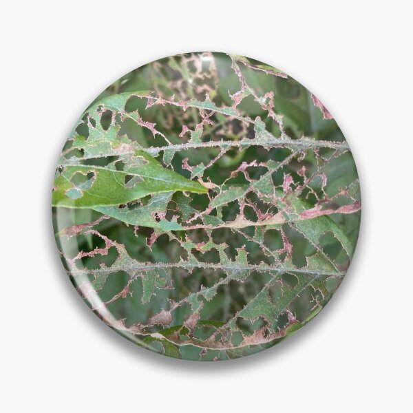 Item preview, Partially Insect Eaten Green Leaves designed and sold by Sinemathk.