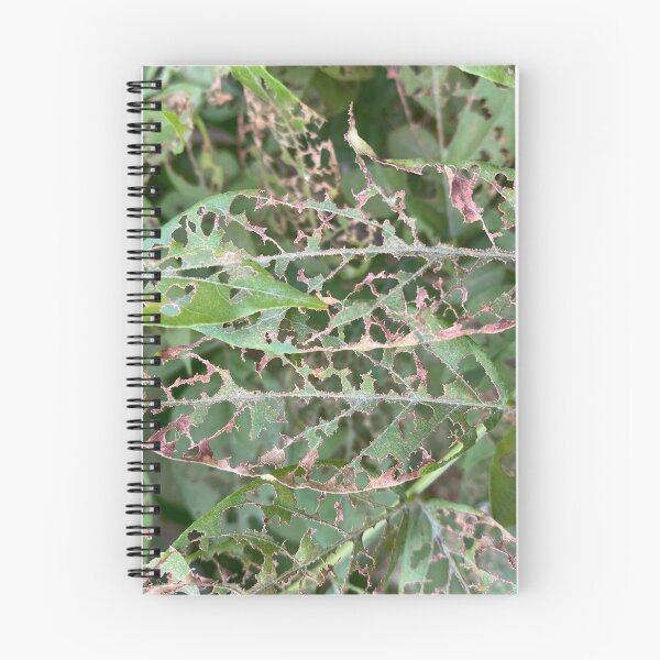 Item preview, Partially Insect Eaten Green Leaves designed and sold by Sinemathk.