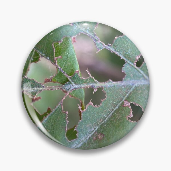 Item preview, Partially Insect Eaten Green Leaf designed and sold by Sinemathk.