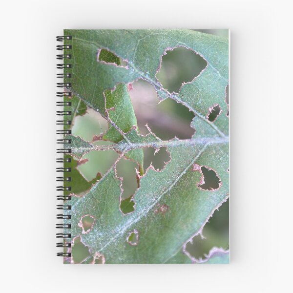 Item preview, Partially Insect Eaten Green Leaf designed and sold by Sinemathk.