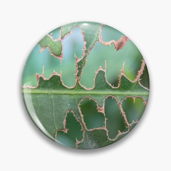 Item preview, Partially Insect Eaten Green Leaf designed and sold by Sinemathk.