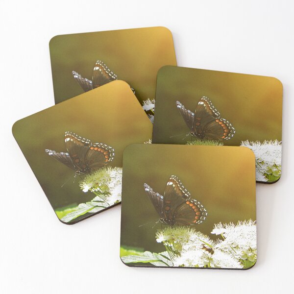 Item preview, Sunlit Butterfly  designed and sold by passion4photos.