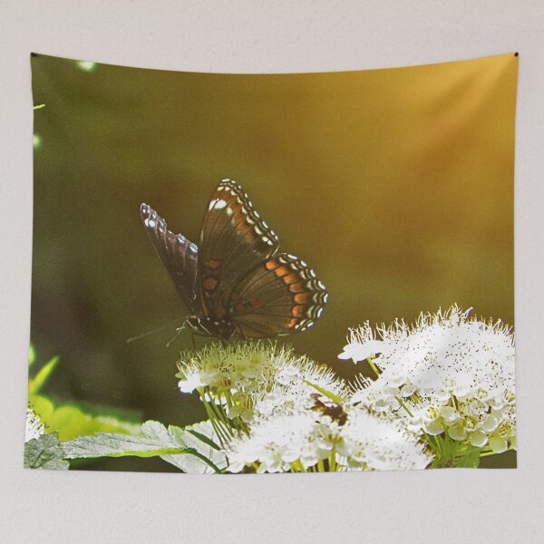 Item preview, Sunlit Butterfly  designed and sold by passion4photos.