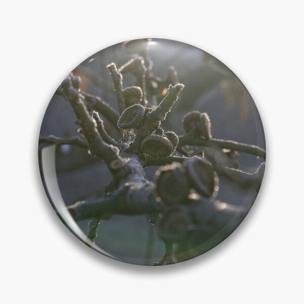 Item preview, A freezing morning in Canberra/ACT/Australia (9) designed and sold by Wolf Sverak Photography.