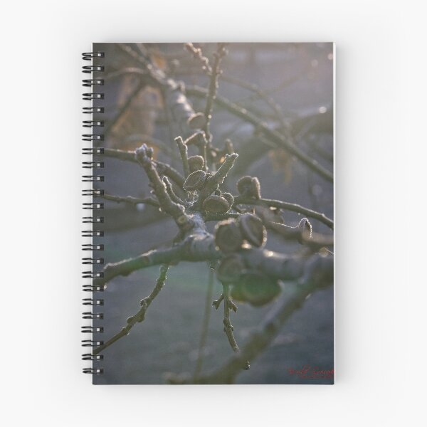 Item preview, A freezing morning in Canberra/ACT/Australia (9) designed and sold by Wolf Sverak Photography.