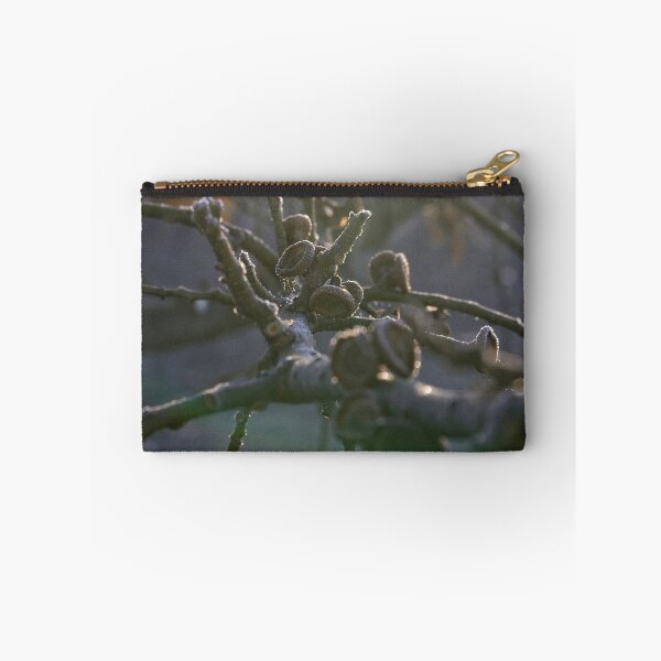 Item preview, A freezing morning in Canberra/ACT/Australia (9) designed and sold by Wolf Sverak Photography.