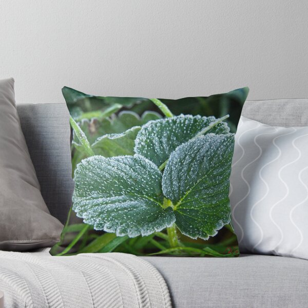 Item preview, A freezing morning in Canberra/ACT/Australia (10) designed and sold by Wolf Sverak Photography.