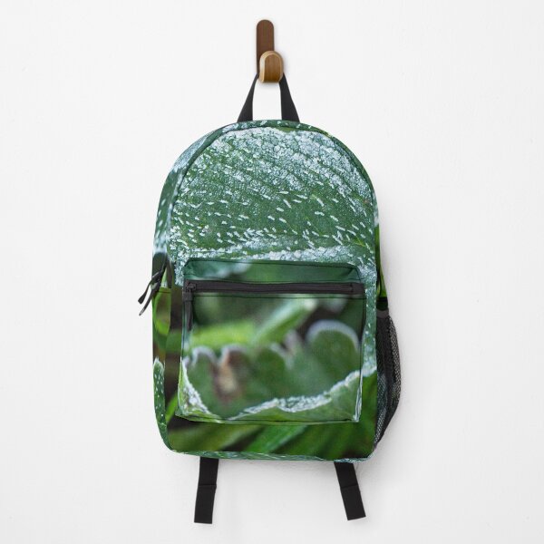 Item preview, A freezing morning in Canberra/ACT/Australia (10) designed and sold by Wolf Sverak Photography.