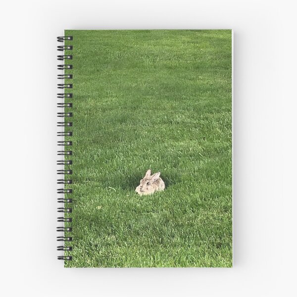 Item preview, Cozy Cottontail designed and sold by 1800E.